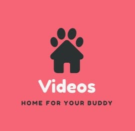 Video Bokep-indo Anak