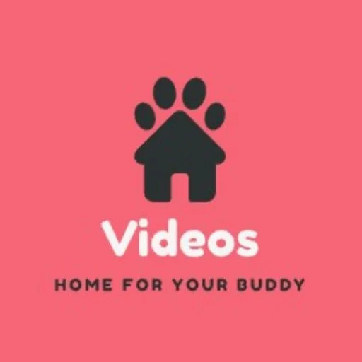 Bokep-indo Terbaru